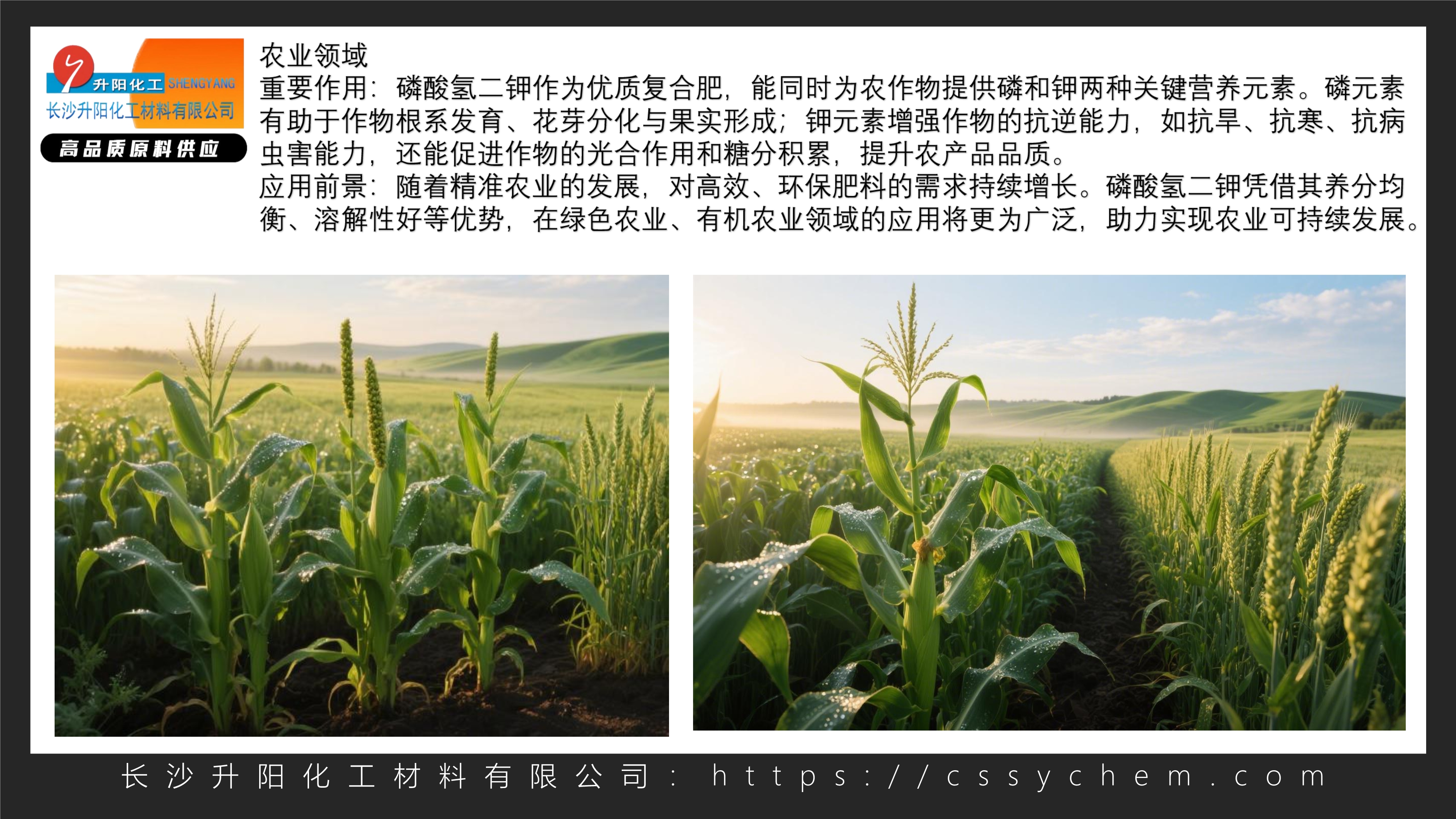 磷酸氢二钾_image2_out.jpg